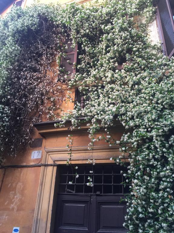 Mgpgroup Guest House Navona 2 Rome Exterior photo